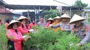 Polres Padang Lawas Ikuti Launching Program Pekarangan Pangan Lestari (P2L), Dukungan Untuk Ketahanan Pangan Lokal