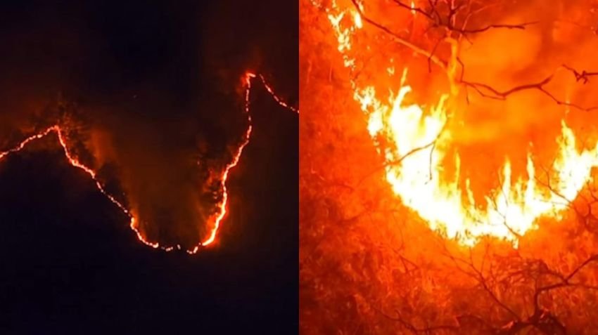 Kebakaran Hutan di Korea Selatan, Tiga Petugas Pemadam Tewas, Status Bencana Nasional Ditetapkan