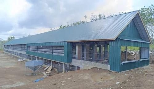 PT Tapanuli Selatan Membangun (TSM) Hadir Sebagai Solusi Sumber Pendapatan Daerah di Tapanuli Selatan