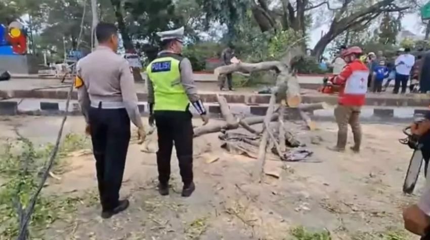 Dua Jemaah Tewas dan 17 Lainnya Terluka Akibat Tertimpa Pohon Beringin Saat Salat Idul Fitri di Pemalang