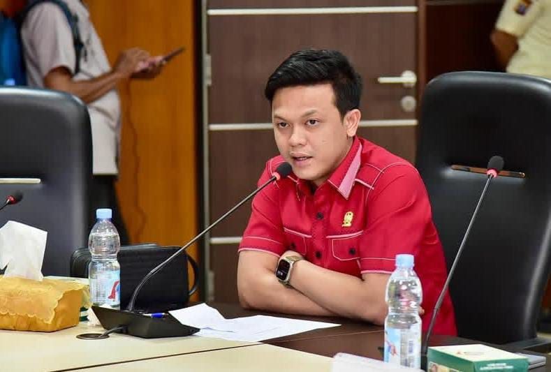 PDIP Diancam Kehilangan Kepercayaan Publik Jika Tidak Pecat David Roni Sinaga