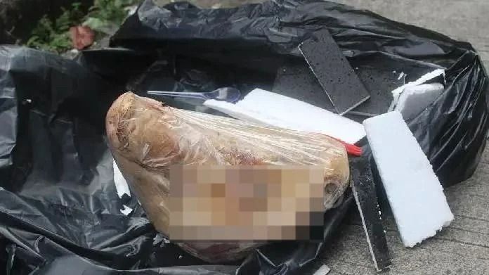 Komnas HAM: Teror Kepala Babi ke Tempo Langgar Lima Hak Asasi Manusia