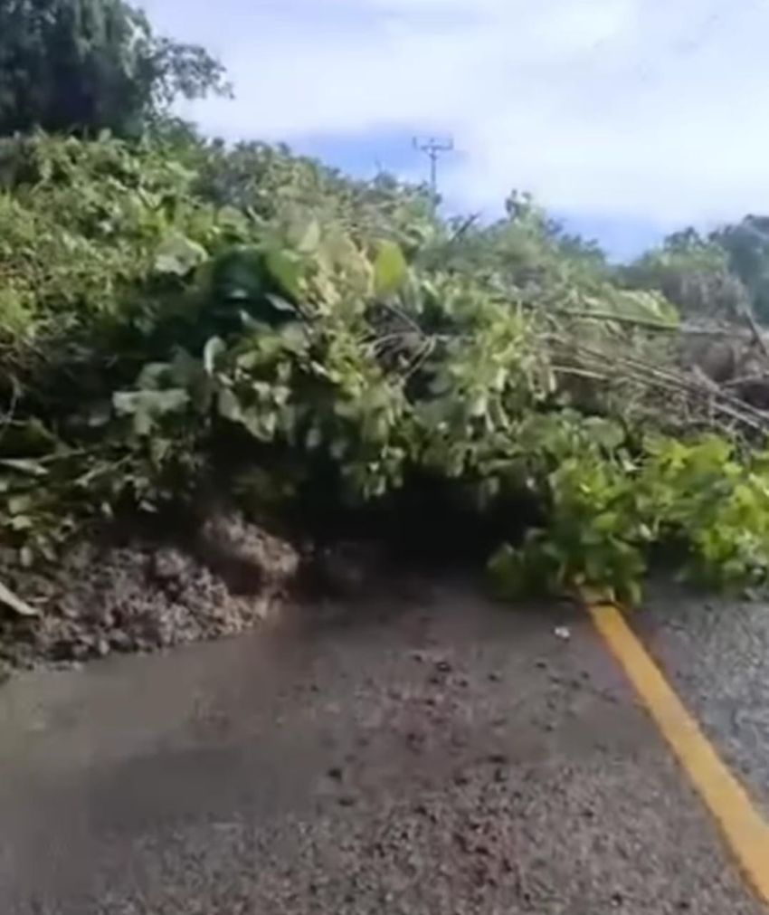Jalan Lintas Sulawesi di Gorontalo Utara Terputus Akibat Longsor