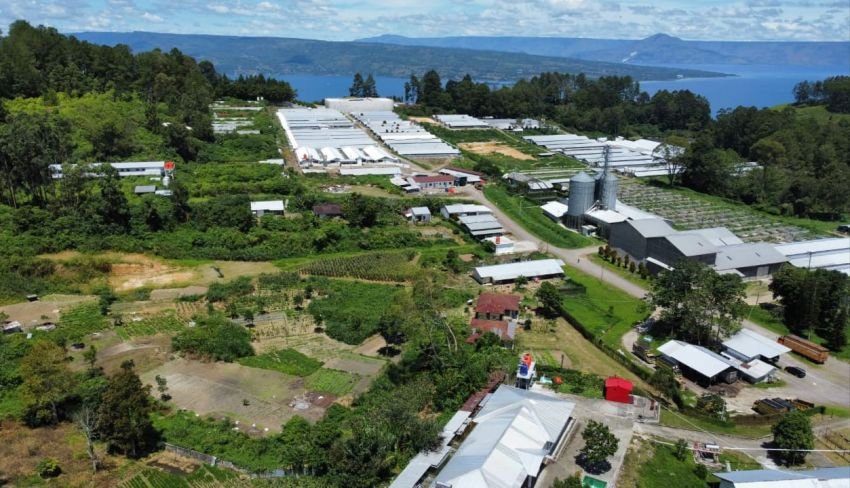 Satgas Pertiban Kawasan Hutan Diminta Cabut Izin & Segel PT Algerindo Nusantara