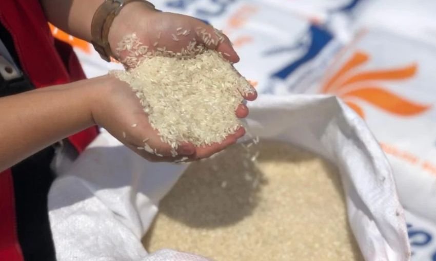 Impor Beras dan Daging Sapi Anjlok, BPS Ungkap Penurunan Terbesar Februari 2025