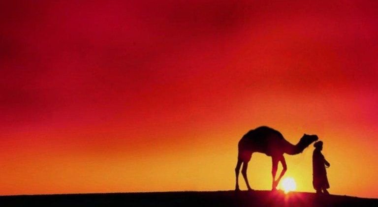 Kisah Nabi Saleh AS: Dakwah, Mukjizat, dan Azab bagi Kaum Tsamud