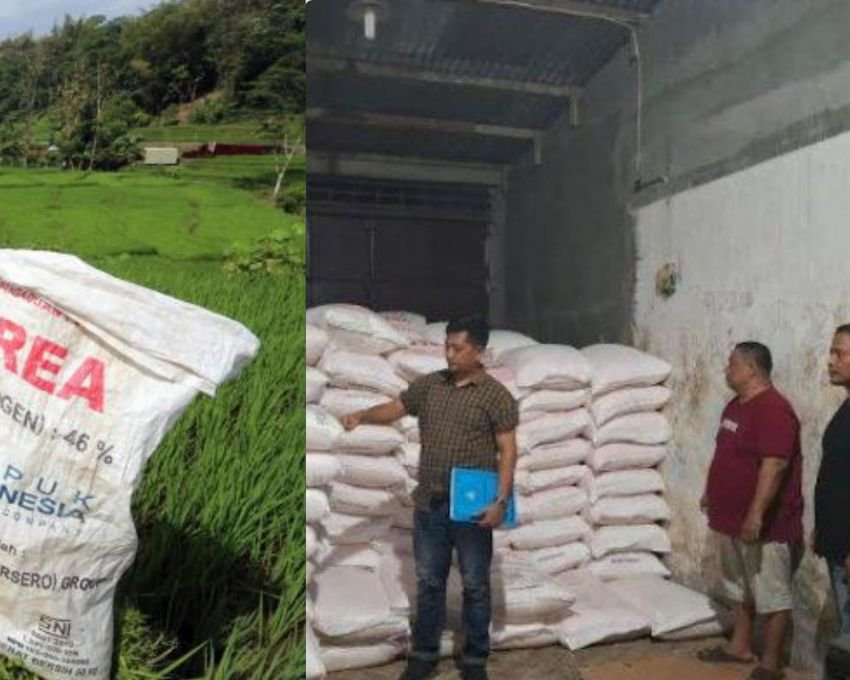 Diduga Jual Pupuk di Atas HET, Polisi Cek Kios Subsidi di Langkat, Ini Hasilnya!