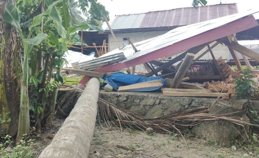 Sedang Tidur Siang, Nenek 60 Tahun di Polman Tewas Tertimpa Pohon Kelapa Tumbang!