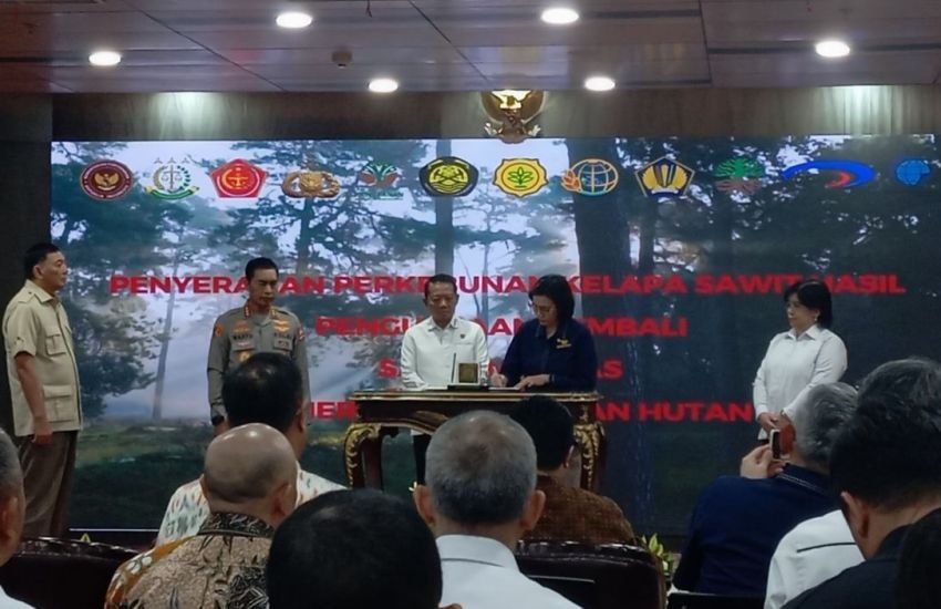 438 Ribu Hektare Sawit Ilegal Disita, Pemerintah Tegas Atasi Pelanggaran!