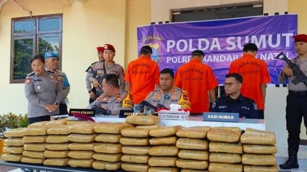 Kurir Narkoba Ganja Diciduk Polisi Saat Bawa Durian, 100 Kg Ganja Disembunyikan di Baliknya