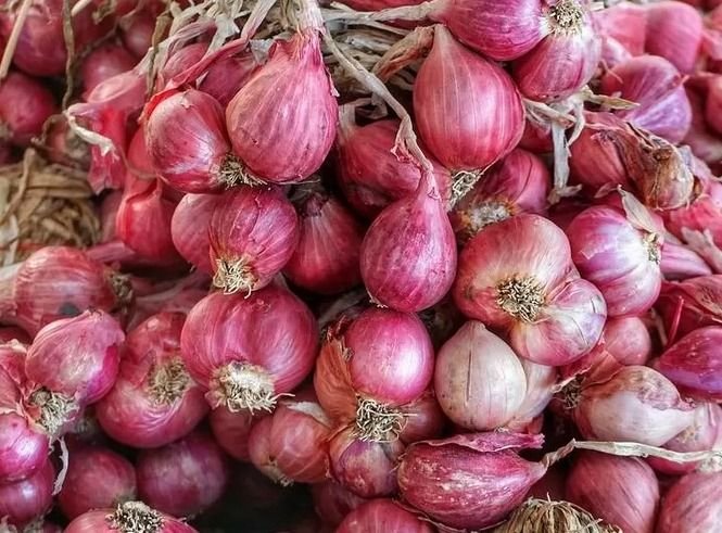 Harga Pangan Nasional Alami Kenaikan Pada Kamis  20 Maret 2025,  Bawang, Beras, dan Minyak Goreng Terkena Dampak