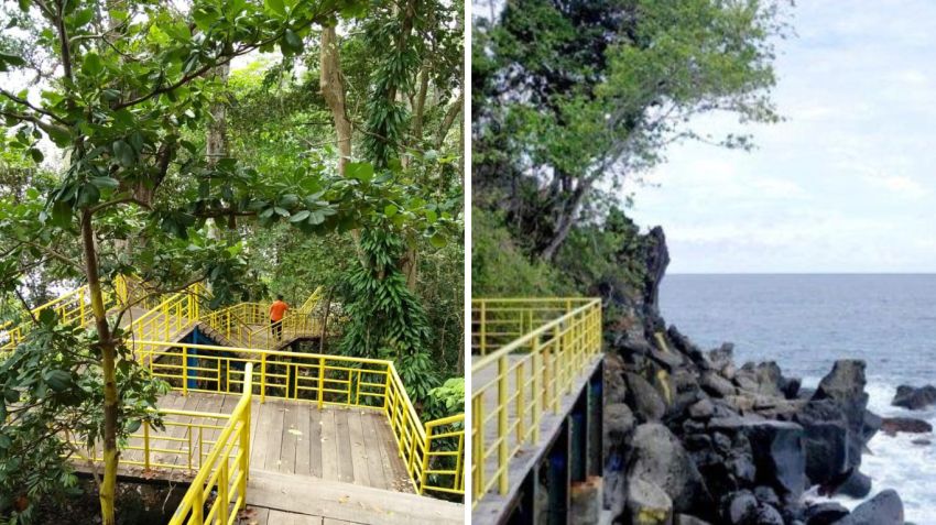 Taman Hutan Nol Kilometer, Surga Tropis di Tepi Laut Sabang