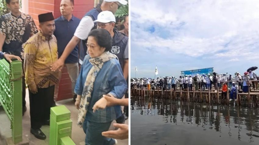 Megawati dan Chairul Tanjung Tanam Mangrove di PIK, Peringati Hari Bumi dan Reuni Akbar IKA BOEDOET