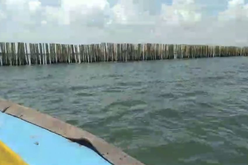 MAKI Desak Kasus Pagar Laut Diproses dengan UU Tipikor, Soroti Dugaan Gratifikasi dan Suap