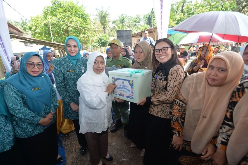 Tim Pembina Posyandu Sumut Kunjungi Labura, Pastikan Posyandu Integrasi Layanan Primer Berjalan Optimal