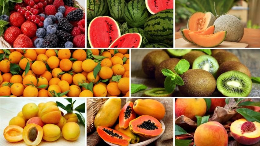 8 Buah Rendah Gula yang Aman untuk Pengidap Diabetes
