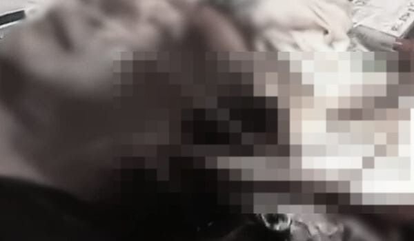 Marlin Seruduk Nelayan di Pamekasan, Moncong Tancap di Telinga Kiri
