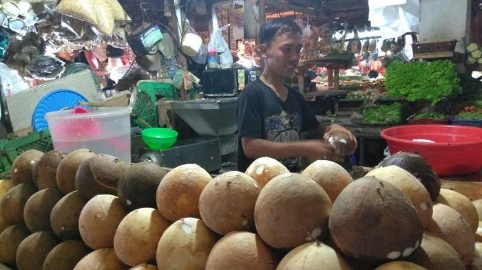 Harga Kelapa Melambung, Mendag Sebut Akibat Lonjakan Permintaan Ekspor