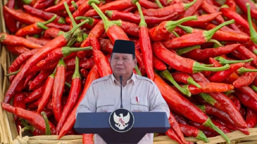 Solusi Prabowo Hadapi Harga Cabai: 5 Pot di Rumah, Harga Aman?