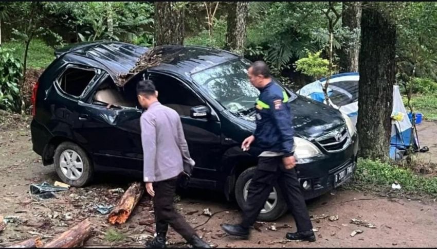 Liburan Berakhir Duka, Bocah 12 Tahun Tewas Tertimpa Pohon Saat Tidur dalam Tenda