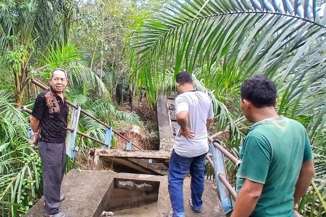 Jaringan Irigasi Amblas di Paluta, 2.000 Hektare Sawah Terdampak