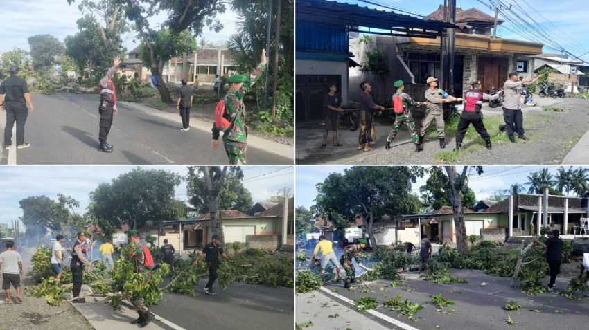Babinsa Pulukan dan Bhabinkamtibmas Amankan Penebangan Pohon Rawan di Tepi Jalan Raya Denpasar-Gilimanuk