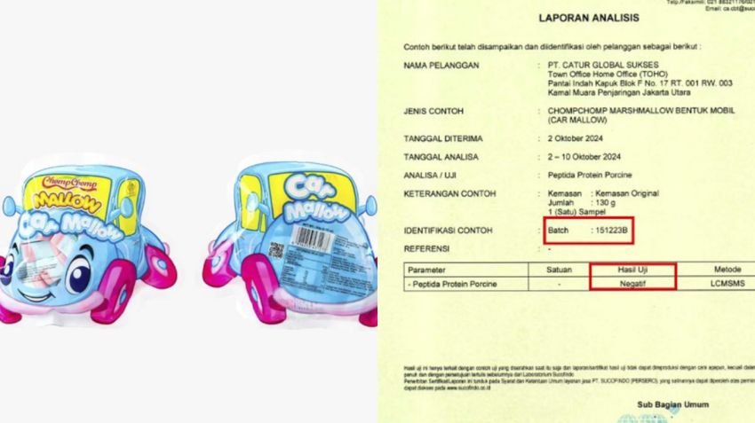 Eks Menteri Pertanian Ungkap Alasan Produk Halal Bisa Terdeteksi Mengandung Babi: Perlu Standar Uji Seragam