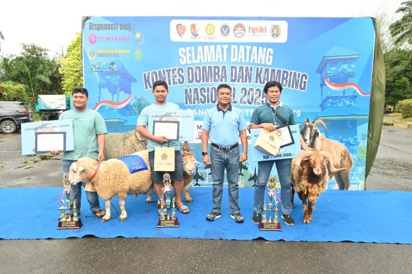 Lanud Soewondo Gelar Kontes Domba dan Kambing Nasional 2025 Dalam Rangka HUT ke-79 TNI AU