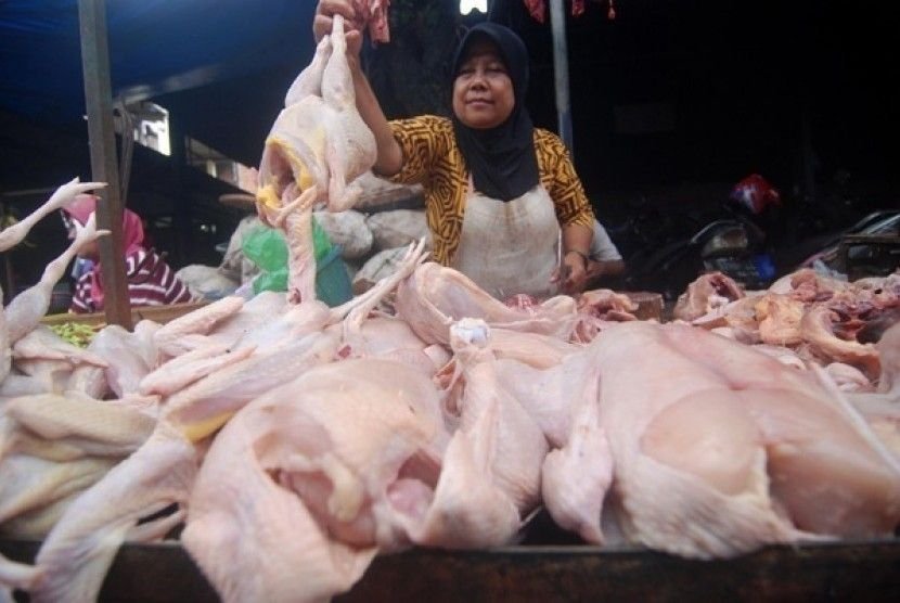Harga Daging Ayam Broiler di Sumut Turun Tajam, Tertinggal Jauh dari HET