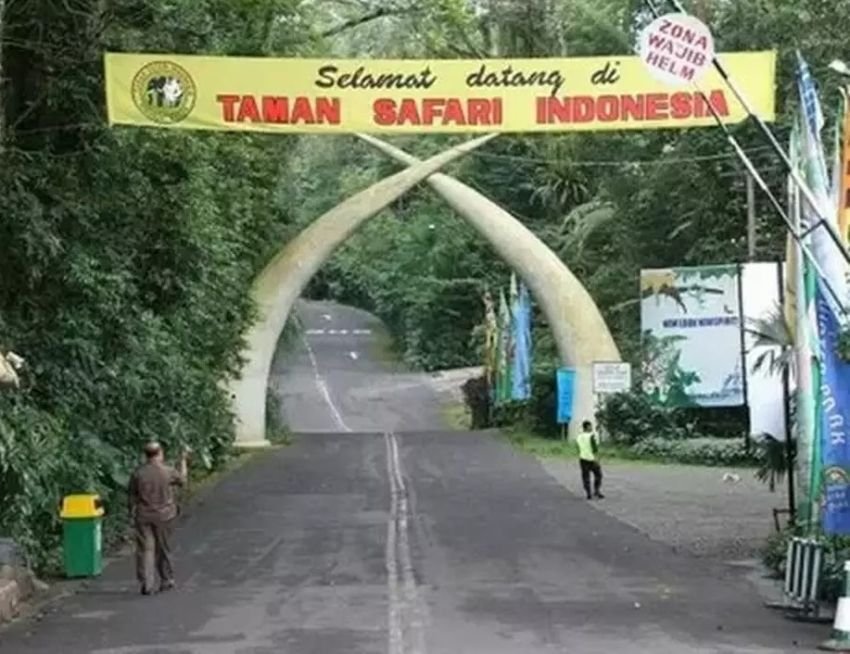 Taman Safari Indonesia Tegaskan Pemain Sirkus OCI Bukan Bagian dari Karyawan Mereka