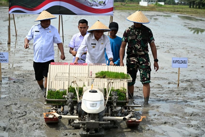 Sumut Genjot Produksi Pangan, April Surplus Beras 24.720 Ton