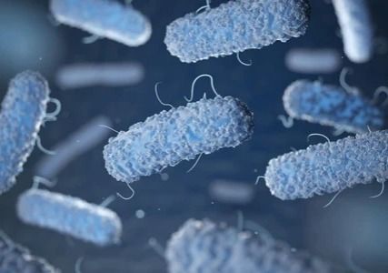 Penyakit Tifus Makin Berbahaya, Antibiotik Tak Lagi Ampuh!