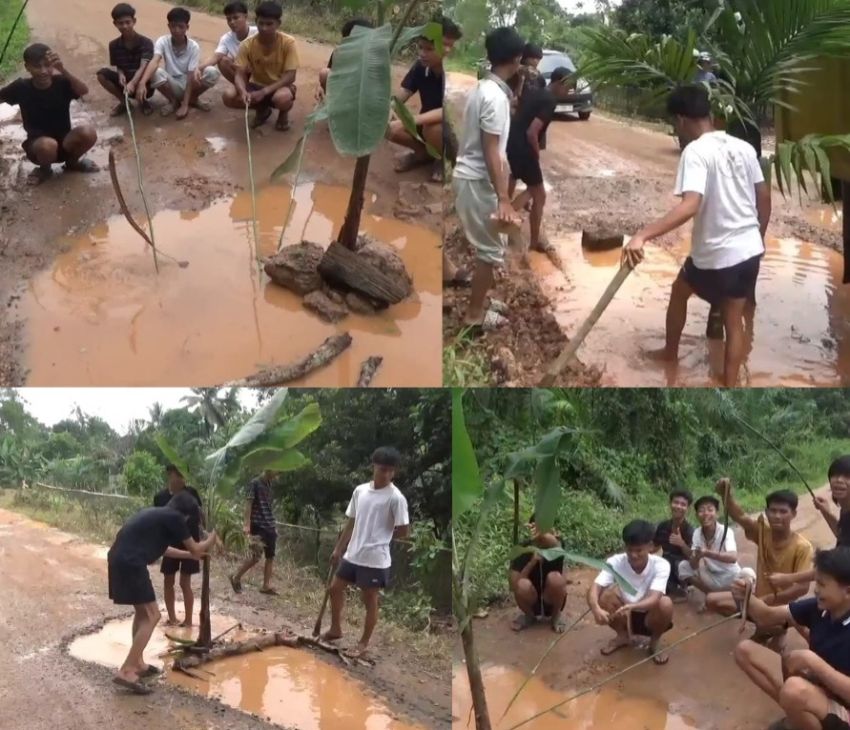 Pemuda desa Mudung darat prihatin melihat jalannya berlobang gelar aksi tanam pohon pisang dan pinang di bahu jalan