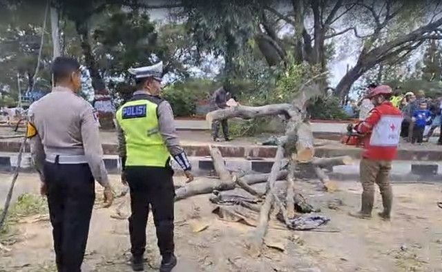 Update Insiden Pohon Tumbang di Alun-Alun Pemalang,Korban Tewas Jadi Tiga Orang!