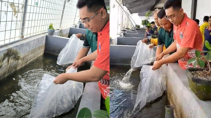 Lapas Jember Tebar 2000 Bibit Lele Dumbo, Dorong Kemandirian dan Ketahanan Pangan