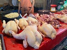 Harga Daging Ayam Naik ke Rp 33.400 per Kg, Peternak Sumut Akui Frustrasi Tekanan Harga Sebelumnya