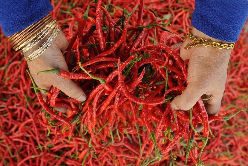 Harga Cabai Turun di Medan, Bawang Merah Masih Stabil