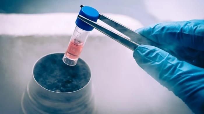 Egg Freezing: Menjaga Kesuburan untuk Masa Depan Kehamilan, Apa Itu dan Bagaimana Prosesnya?