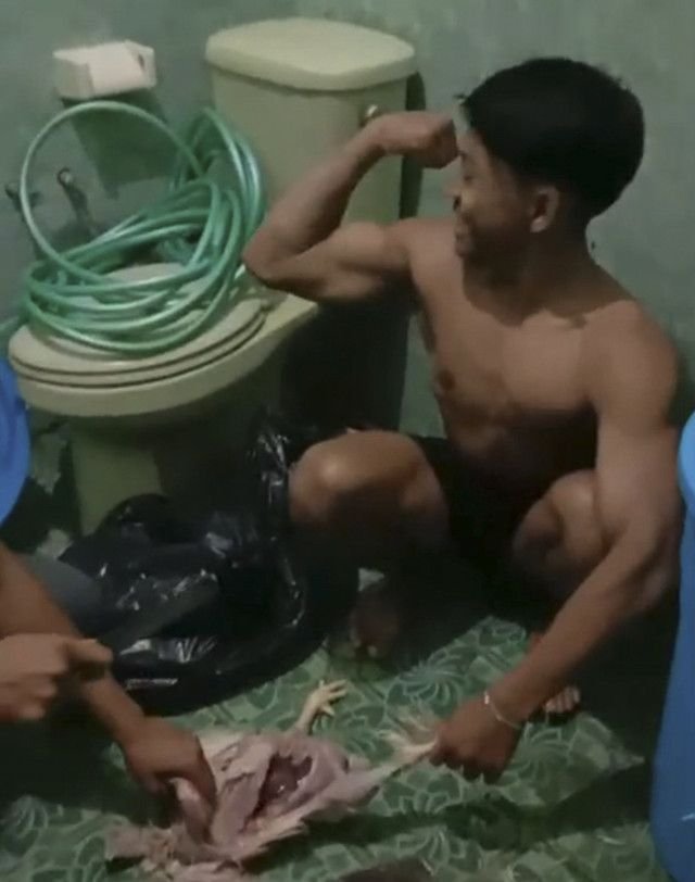 Demi Gizi, 12 Atlet Binaraga Malang Terpaksa Makan Ayam Tiren Selama Sebulan