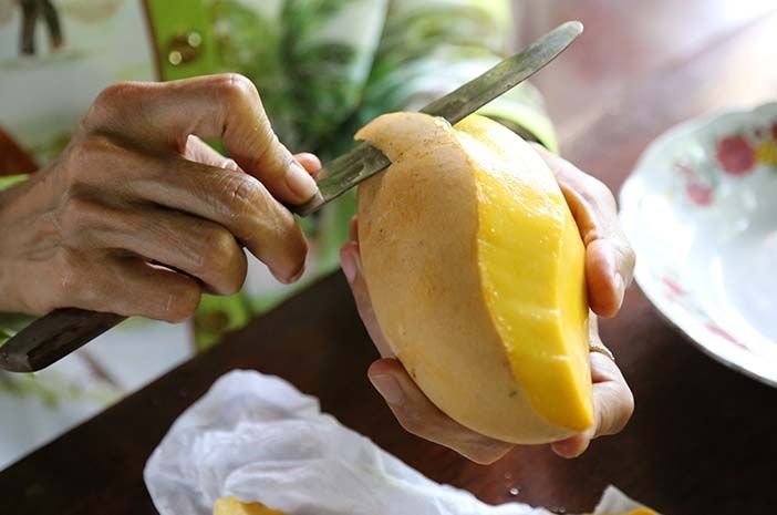 Tak Hanya Dagingnya, Kulit Mangga Juga Kaya Manfaat: Amankah Dikonsumsi?