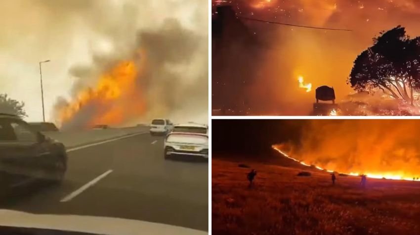 Kebakaran Hutan Dahsyat di Israel, 24 Orang Terluka dan Evakuasi Massal Dilakukan