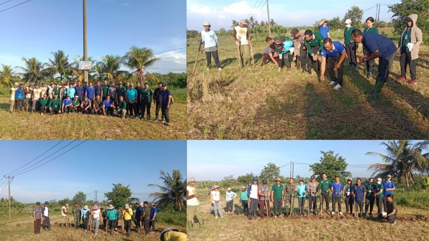 Babinsa Gumbrih Dampingi Penanaman Jagung untuk Ketahanan Pangan Desa