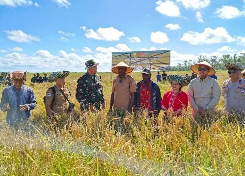Panen Perdana Sawah Cetak di Wanam Papua Selatan, Tonggak Baru Kebangkitan Pertanian Timur Indonesia