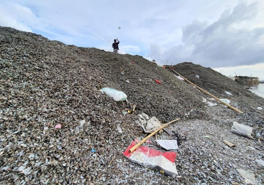 Limbah Kulit Kerang Menumpuk Setinggi 5 Meter di Cilincing, Jakarta Utara, Dikeluhkan Warga
