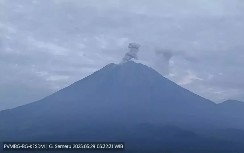 Gunung Semeru Kembali Erupsi, PVMBG Imbau Warga Waspada