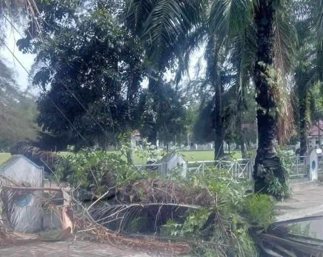 Hujan Deras Disertai Angin Kencang Tumbangkan Pohon di Area Kantor Bupati Deli Serdang