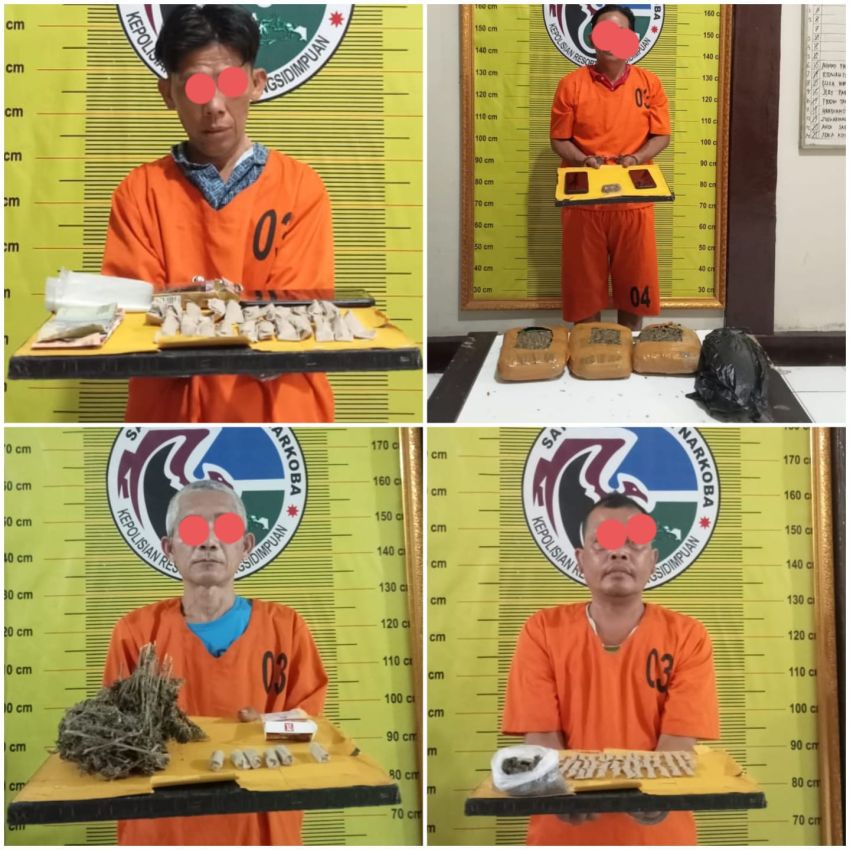 Polres Padangsidimpuan Gulung Empat Pengedar Ganja, Total Barang Bukti 3,3 Kg