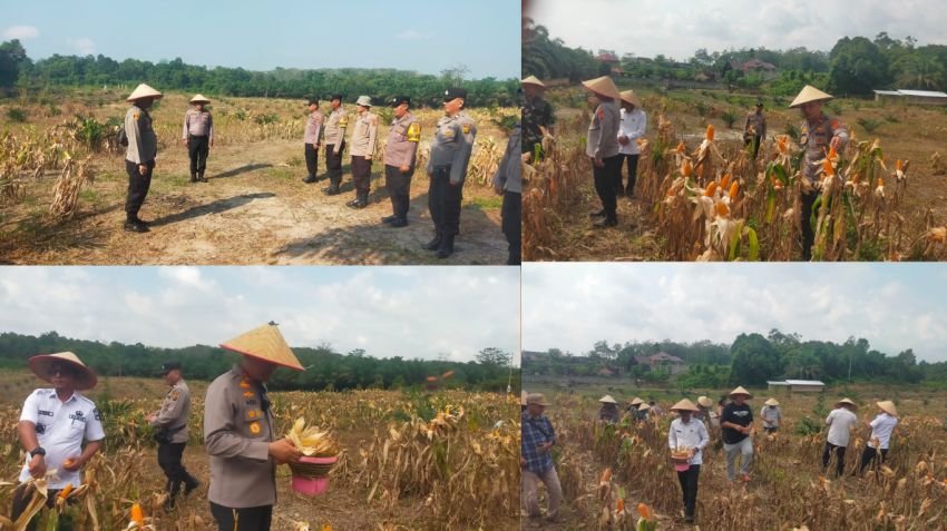 Kapolres Muaro Jambi Pimpin Simulasi Mesin Pipil Jagung Inovasi Polsek Jaluko