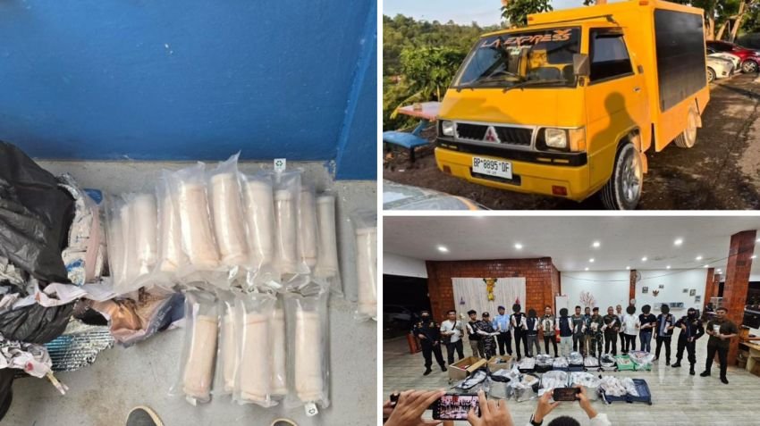 Penyelundupan 321 Ribu Benih Lobster Senilai Rp 48 Miliar Digagalkan Bea Cukai Batam, 1 Pelaku Diamankan