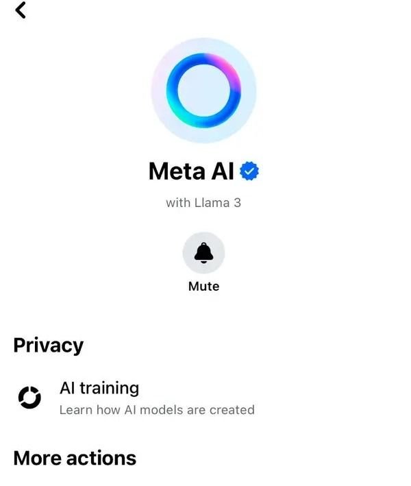 Peluncuran Meta AI Dapat Sorotan Tajam Terkait Privasi Pengguna?